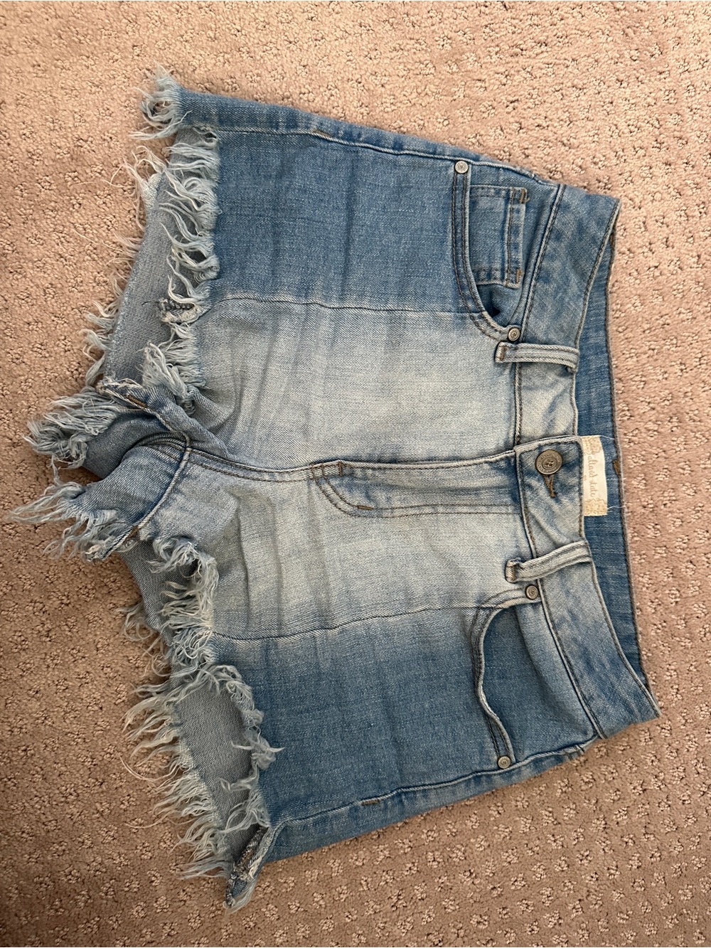 Altar'd State Light Blue Frayed Denim Shorts